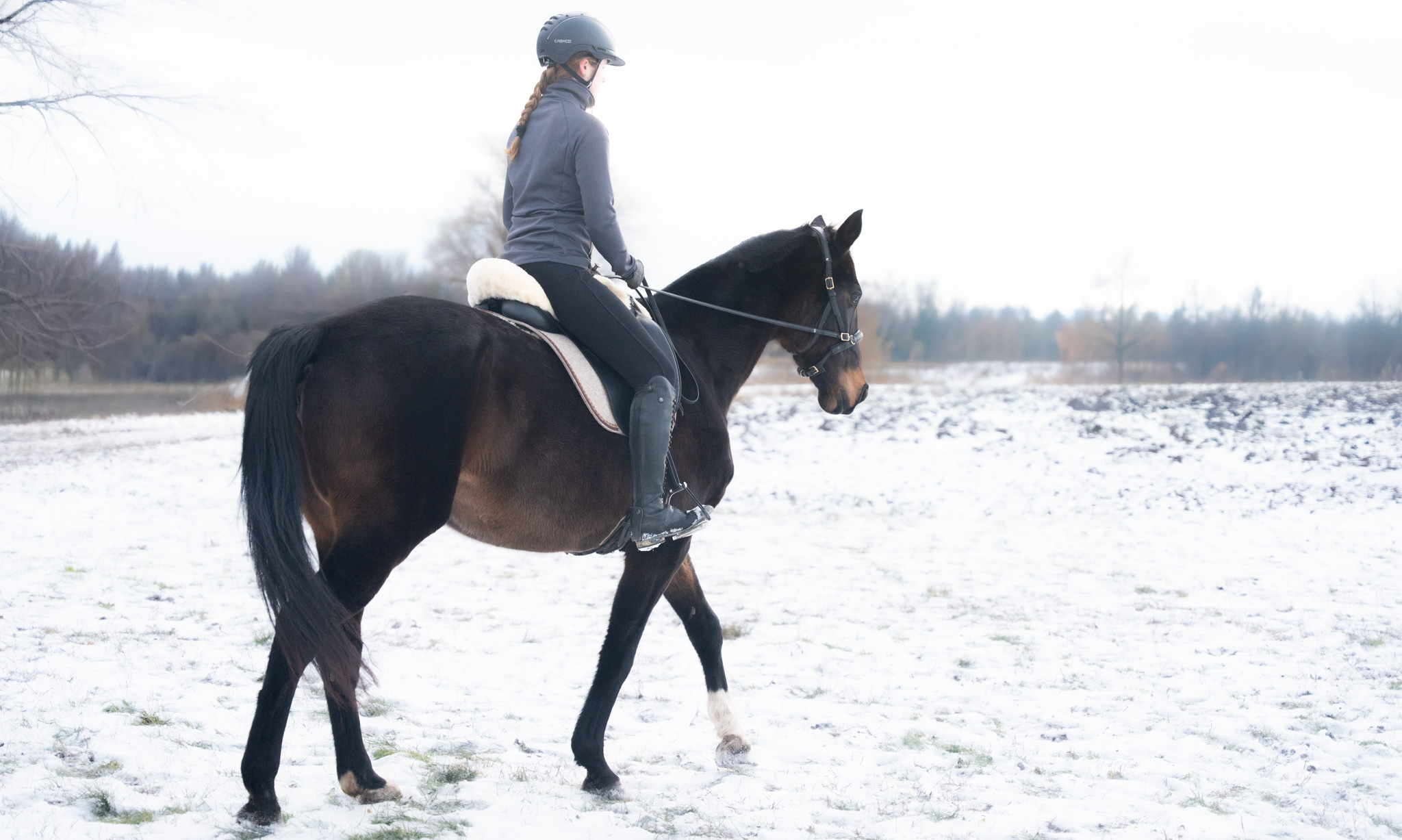 Seitengang beim reiten