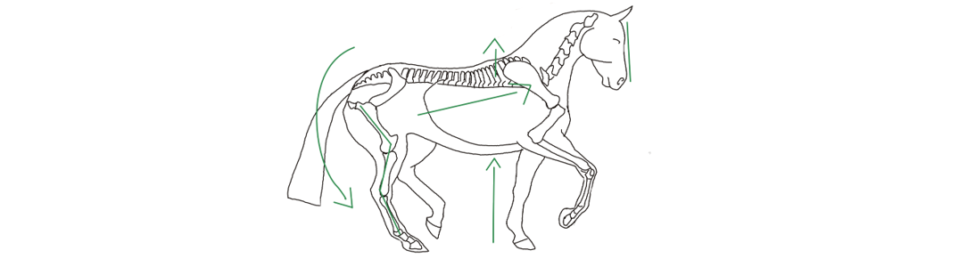 Zeichnung: Auswirkungen Piaffe