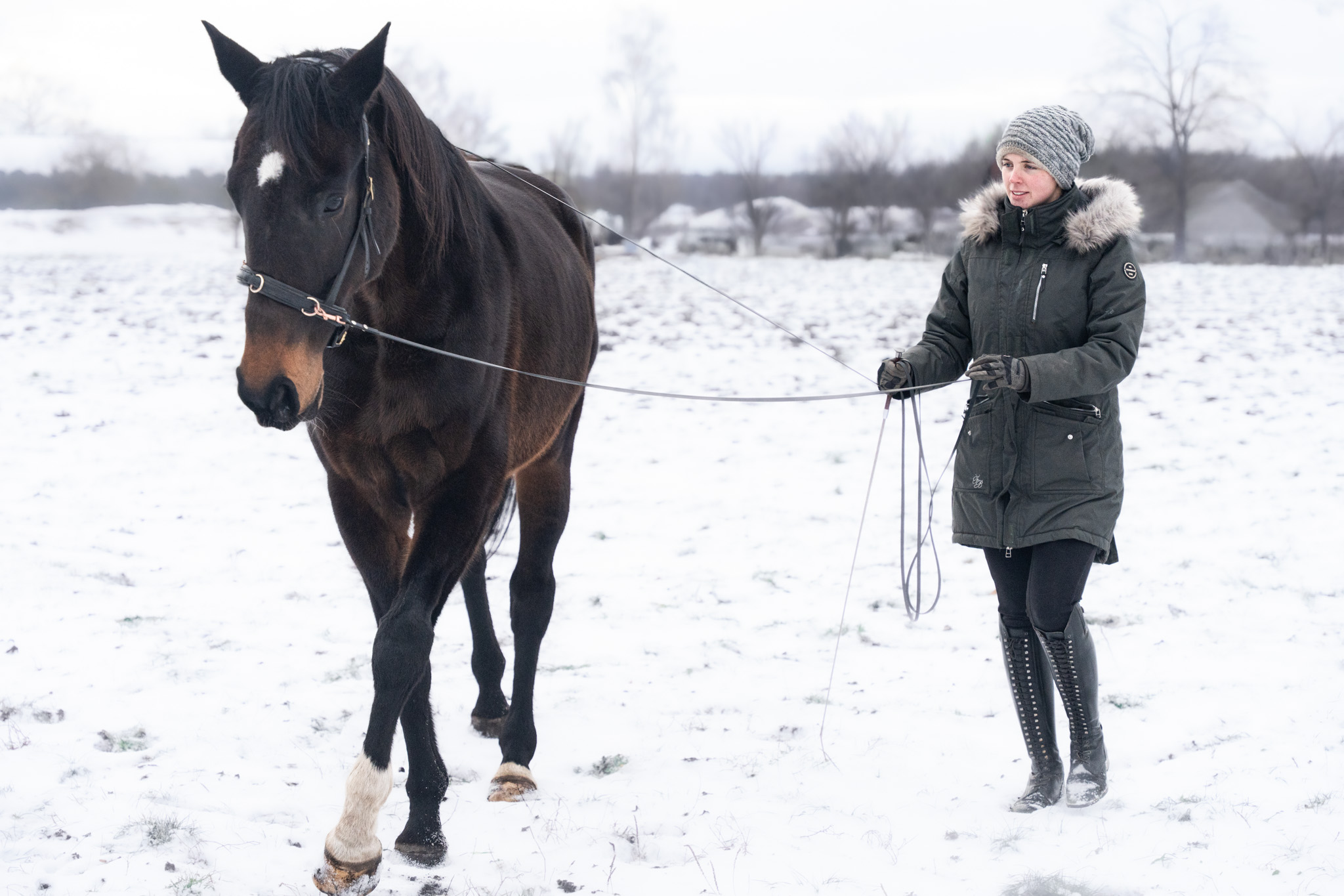 Seitengang am langen Zügel
