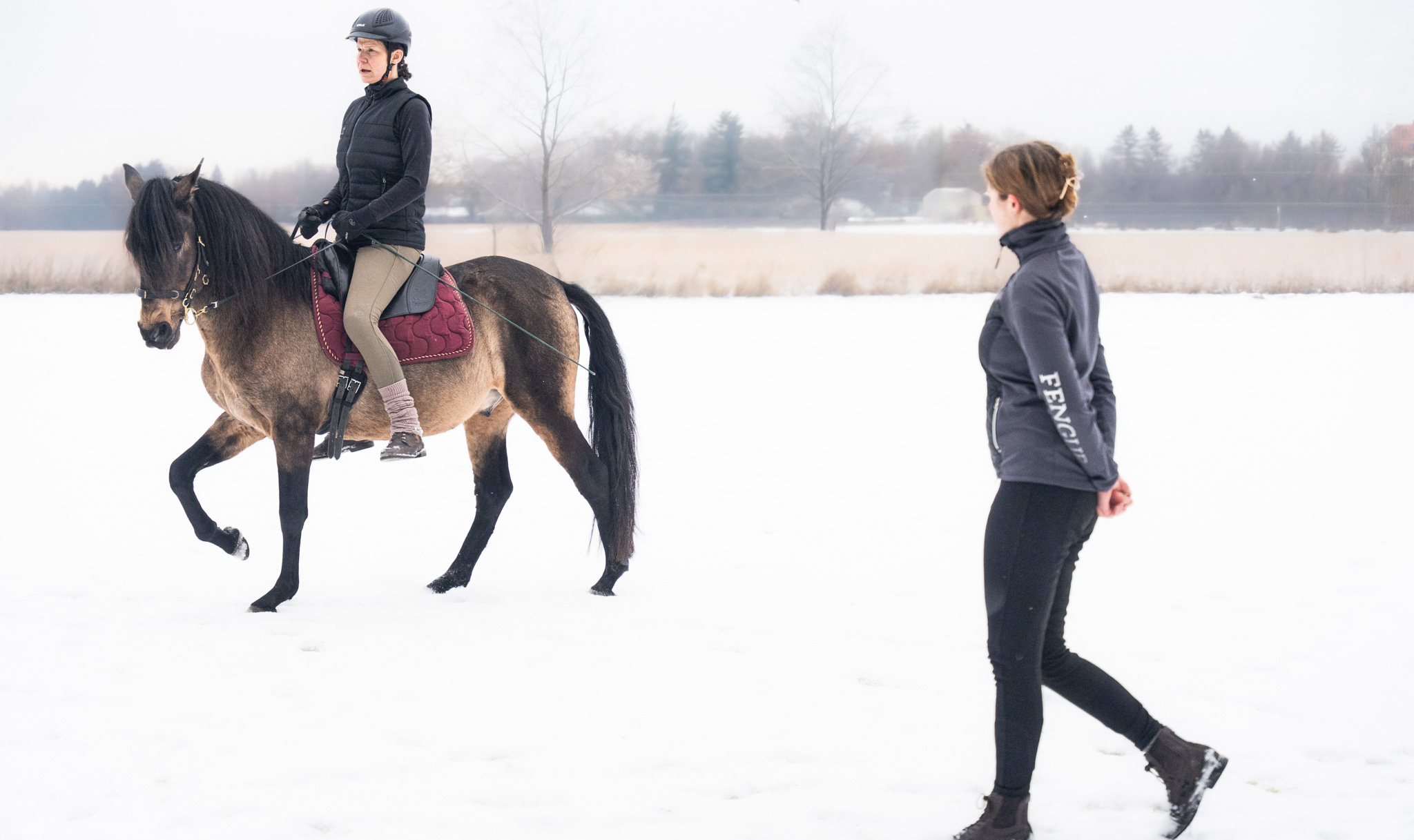 Reitunterricht Wiedereinsteiger
